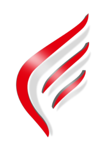 pegasus_skrzydlo